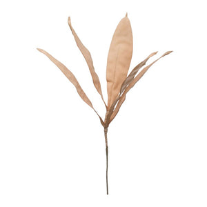 Reed Stem Leaf